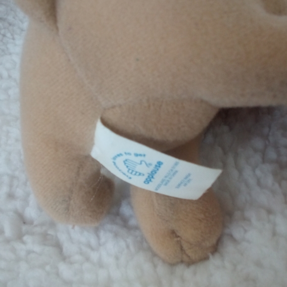 Taco Bell Dog - Picture 7 of 8